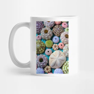 Wonderful Collection Of Sea Urchins Mug